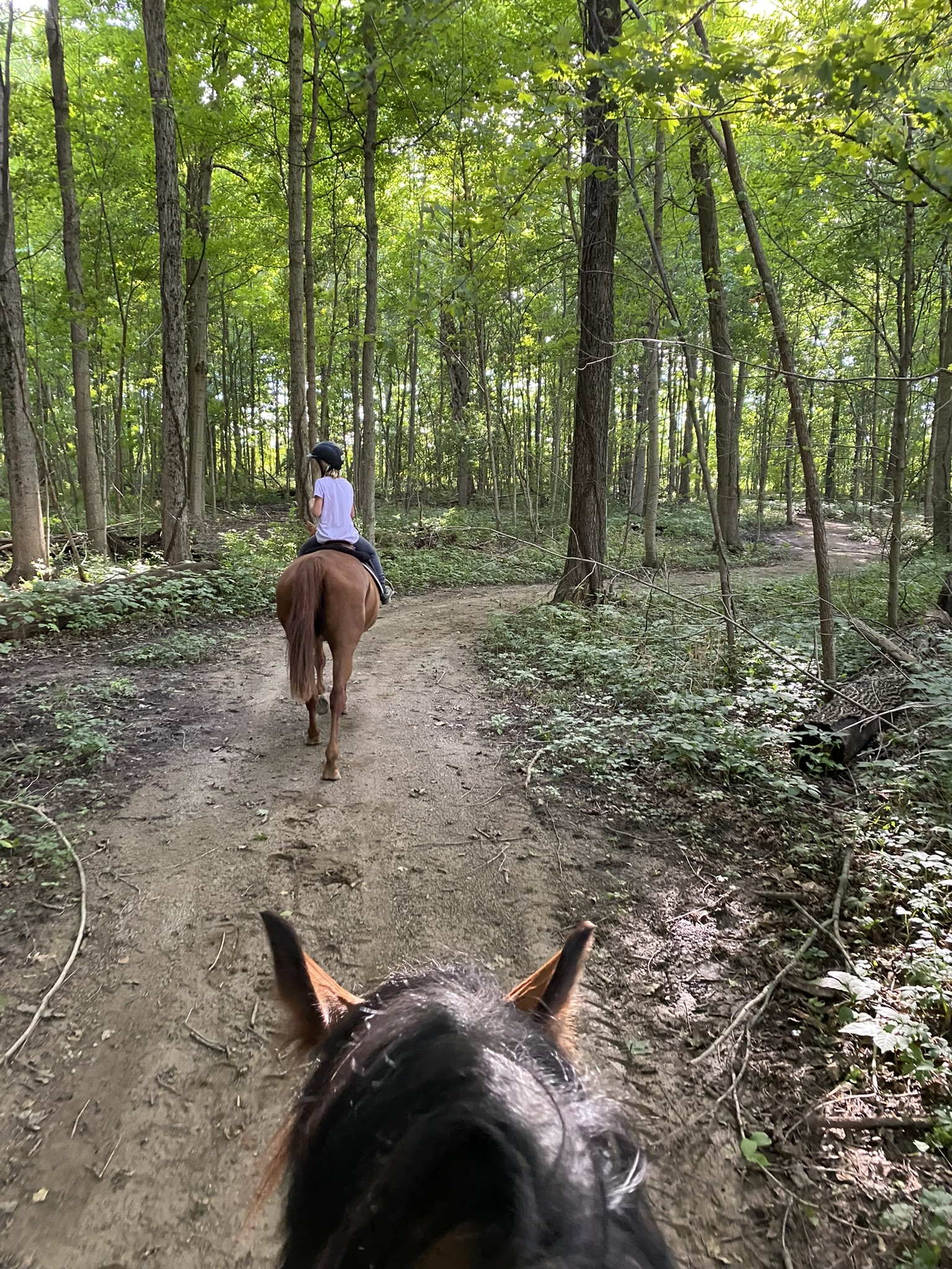 Trail Ride